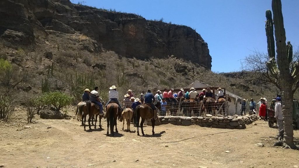 Desde el Picacho - Emilio Arce